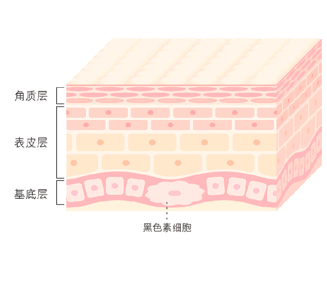 微信圖片_20210531091919.gif